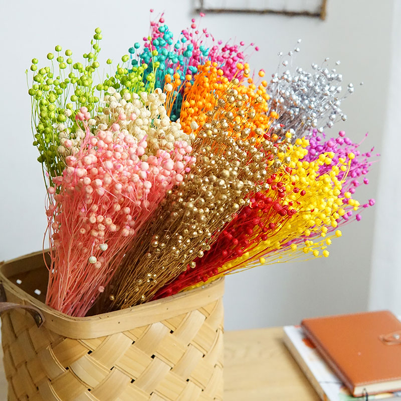 Dried Flower Pressed - 35g/Korunmuş Ormosia Hosiei Doğal Gerçek Çiçekler