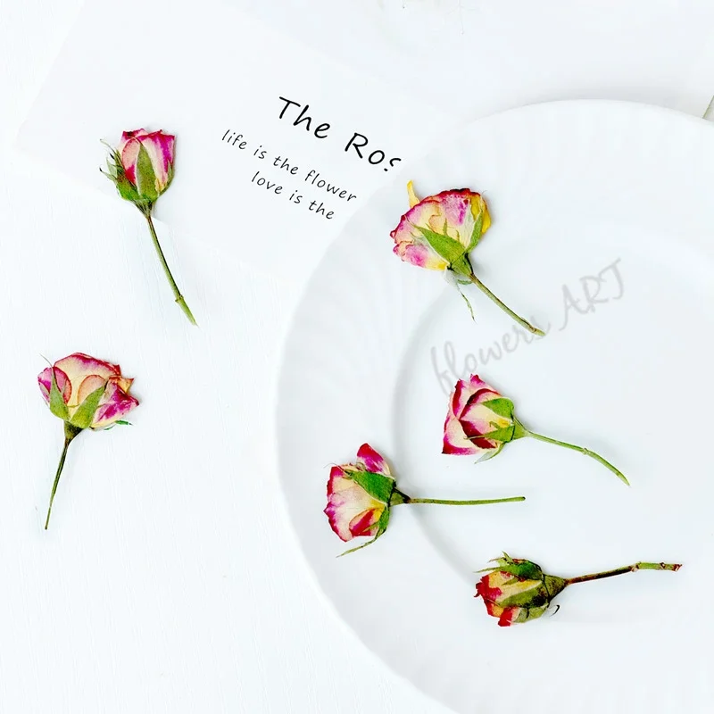 Dried Flower Pressed - Preslenmiş Gül Tomurcuğu Çiçek Yaprakları Kuru