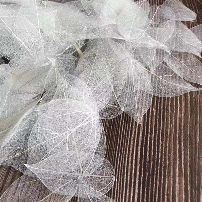 Dried Flower Pressed - 5 ~ 9 CM * 2