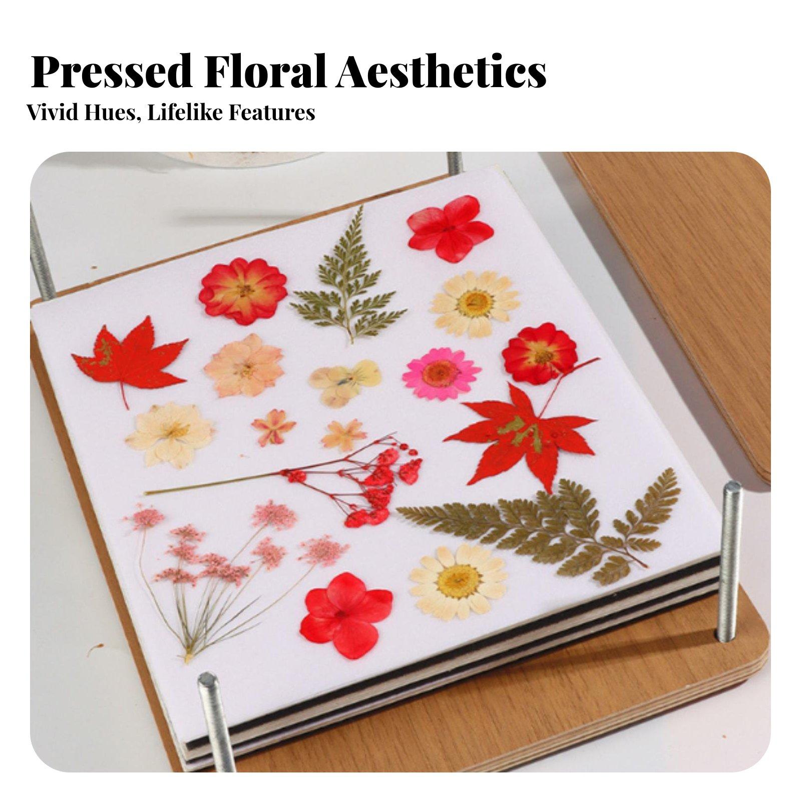 Çok Katmanlı Botanik Çiçek Pre - Dried Flower Pressed incelemesi ve fiyatı