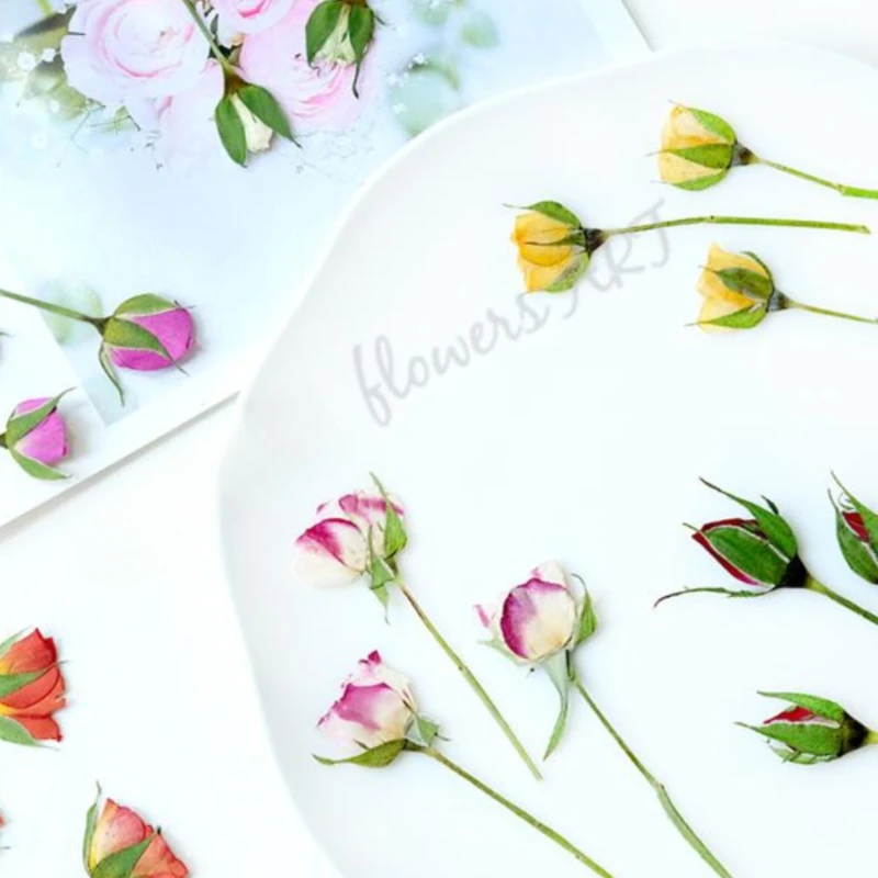 Preslenmiş Gül Tomurcuğu Çiçek - Dried Flower Pressed incelemesi ve fiyatı