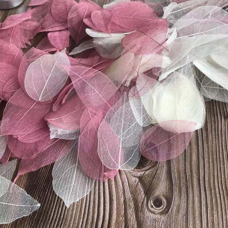 5 ~ 9 CM * 2 ~ 3.5 CM, 100 ADE - Dried Flower Pressed incelemesi ve fiyatı