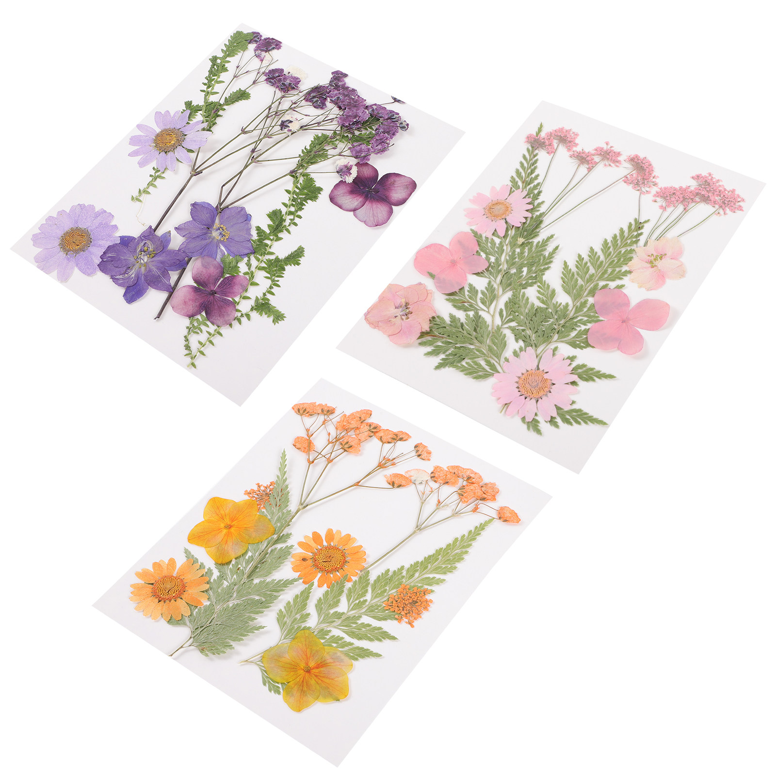Kurutulmuş Çiçekler Dekorasyon - Dried Flower Pressed incelemesi ve fiyatı
